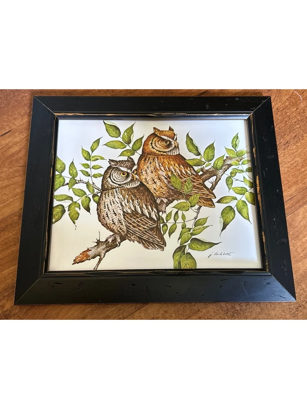 Vintage Owl Artwork Pair in Black Wooden Frames